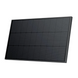 Солнечная панель EcoFlow 100 Вт Solar Panel (стационарная) solar100 фото 2
